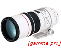 Canon 300mm f/4.0 L IS