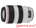 Canon 70-300mm f/4-5.6 L IS