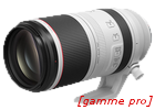 Canon RF 100-500mm F4.5-7.1L IS